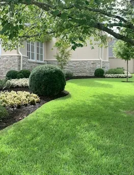 Emily Smith profile picture